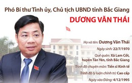 [Infographics] Chủ tịch UBND tỉnh Bắc Giang Dương Văn Thái