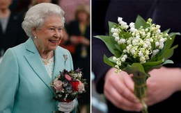 Liên tiếp nhận được hoa có độc trong một tuần, Nữ hoàng nói câu này khiến ai cũng bật cười