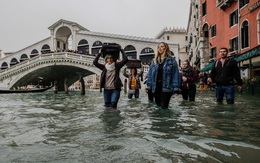 Triều cường Venice đạt mức đỉnh mới, quảng trường Saint Marc đóng cửa