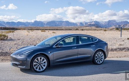 Xe Tesla đang chạy 100 km/h, chế độ tự lái Autopilot vẫn phanh kịp để cứu mạng đại gia đình vịt