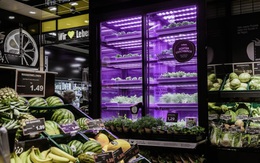 Mỹ: Công nghệ cho phép chuỗi bán rau trồng ngay tại cửa hàng