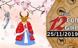 Tử vi thứ 2 ngày 25/11/2019 của 12 con giáp: Sửu có cơ hội đầu tư tốt, Dậu nên thực tế hơn trong tình yêu