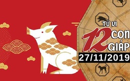 Tử vi thứ 4 ngày 27/11/2019 của 12 con giáp: Hợi bận rộn với công việc, Mão nên chân thành trong tình yêu