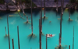 Giải mã bí ẩn: Hồ nước kỳ ảo “siêu thực” hô biến cây mọc ngược dưới đáy