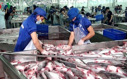 Mỹ công nhận hệ thống an toàn thực phẩm cá da trơn của Việt Nam