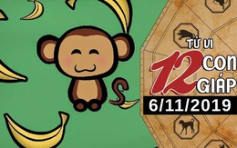 Tử vi thứ 4 ngày 6/11/2019 của 12 con giáp: Thân chìm đắm trong tình yêu, Mùi chuyển biến tích cực về tài chính