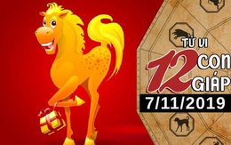 Tử vi thứ 5 ngày 7/11/2019 của 12 con giáp: Tuất gặp thử thách trong tình yêu, Hợi nên chú ý sức khỏe