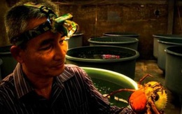 Đại gia cửa biển Sông Đốc lần đầu lên tiếng sau vụ biệt thự hàng chục tỉ đồng nghi bị đạn bắn lúc giữa trưa