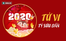 Tổng quan tử vi Tý, Sửu, Dần năm Canh Tý 2020: Có lộc về tiền bạc, được quý nhân trợ giúp