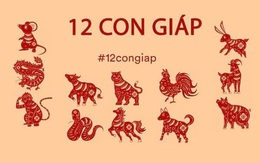 Trong số 12 con giáp, có 4 con giáp phát tài ở tuổi trung niên, trung vận trở ra sung túc phú quý