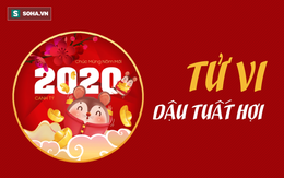 Tổng quan tử vi Dậu, Tuất, Hợi trong năm Canh Tý 2020: Dậu có quý nhân, Tuất nhiều tài lộc