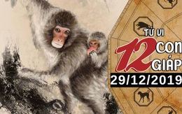 Tử vi chủ nhật ngày 29/12/2019 của 12 con giáp: Thân nên chủ động trong tình cảm, Ngọ cần chú ý sức khỏe