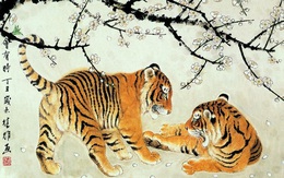 Top 5 con giáp may mắn nhất tuần 2 tháng 12, được Thần tài chiếu cố, tình yêu thăng hoa