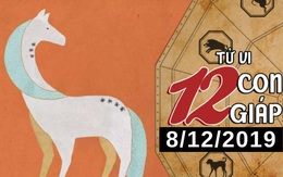 Tử vi chủ nhật ngày 8/12/2019 của 12 con giáp: Ngọ nên chú ý sức khỏe, Tỵ gặp vấn đề về tài chính