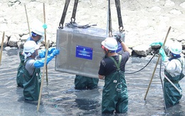 Chủ tịch Hà Nội kết luận thế nào trong buổi làm việc với Tổ chức Nhật Bản thí điểm làm sạch sông Tô Lịch