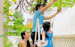 Vợ chồng Công Vinh – Thủy Tiên vui vẻ thu hoạch rau quả sạch trong vườn nhà