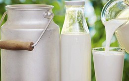 Sữa tách béo so với sữa nguyên chất: Loại nào thực sự tốt cho sức khoẻ?