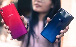 Vivo Y91c giá dưới 4 triệu sắp lên kệ độc quyền TGDĐ, hứa hẹn sẽ gây sốt trong thời gian tới