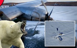NASA: Máy bay bí ẩn rơi ở Bắc Cực, nhưng “số phận” của người sống sót còn đáng sợ hơn