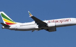 Hàng không họp khẩn: Cấm toàn bộ Boeing 737 Max trong vùng trời Việt Nam