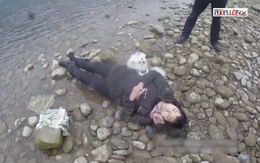 Video chú chó 'nhanh trí' cứu chủ thoát chết bên bờ sông