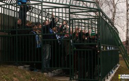 Kỳ lạ: Đi cổ vũ bóng đá, cổ động viên bị nhốt vào chuồng như thú hoang