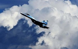 Là đồng minh của Mỹ, sao Ai Cập cần Su-35S?