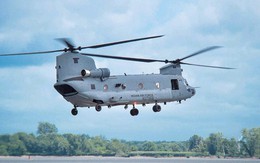 Ấn Độ đưa vào biên chế trực thăng hạng nặng Chinook
