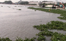 Thi thể nữ giới đang phân hủy, vùng bụng có nhiều vết đâm trôi trên sông Sài Gòn