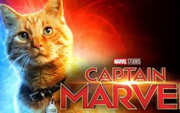 Không phải Captain Marvel, chú mèo dễ thương mới là chìa khóa đánh bại Thanos?