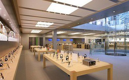 Apple Store tại New York bị rệp tấn công đến nỗi phải đóng cửa