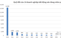 Top 5 doanh nghiệp bất động sản sở hữu quỹ đất ở lớn nhất, họ là ai?