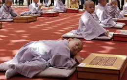 24h qua ảnh: Cậu bé ngủ ngon lành khi học làm sư trong chùa Hàn Quốc