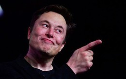 Mạnh miệng khoe Tesla làm chip giỏi hơn Nvidia, nhưng không ai tin lời Elon Musk