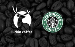 Để đánh bại gã khổng lồ Starbucks, Luckin Coffee không ngại ‘chơi lớn’: Mỗi 3,5 tiếng trôi qua lại mở thêm 1 cửa hàng cà phê mới tại Trung Quốc