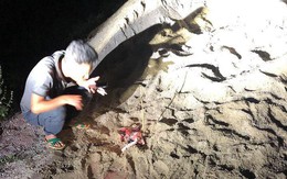 Bé trai bị đàn chó tấn công ở Hưng Yên đã tử vong