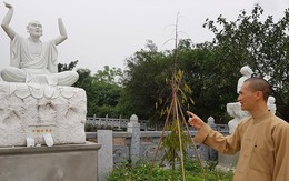 Điều tra vụ 16 pho tượng La Hán trong ngôi chùa cổ ở Hà Nội bị đập phá