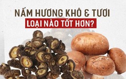 Nấm hương tươi và khô, loại nào bổ dưỡng hơn: Chuyên gia dinh dưỡng giải đáp bất ngờ