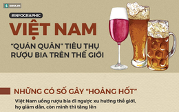 Kỷ lục 'sốc' về rượu bia ở Việt Nam: Mỗi năm 79.000 người chết, thiệt hại 65.000 tỷ đồng