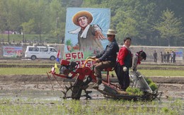 24h qua ảnh: Nông dân Triều Tiên cấy lúa bằng máy