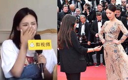 Sao nữ Trung Quốc nhục nhã, nhận kết đắng vì dùng tiền mua danh tại thảm đỏ LHP Cannes