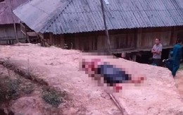 Người phụ nữ sống một mình trong căn nhà sàn ở Điện Biên nghi bị cướp, giết lúc rạng sáng