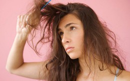 Hói đầu sớm, rụng tóc nhiều có thể khắc phục nếu biết được những lời khuyên này