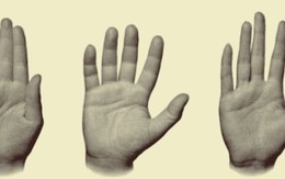 Luận giải tính cách qua từng ngón tay và bàn tay: Người tay to thường cầu toàn