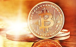 Bitcoin từ 'đáy' đang hồi sinh