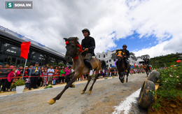 Mãn nhãn xem hàng chục chú ngựa tranh tài giải Vó ngựa trên mây ở Fansipan
