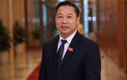 ĐB Lưu Bình Nhưỡng: "Tôi đã chuyển đơn của bà Lê Hoàng Diệp Thảo đến Chánh án tòa tối cao"