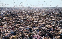 Ám ảnh những bãi rác khổng lồ chất cao như núi khắp nơi trên thế giới, có chỗ cao hơn 65 mét, rộng hơn 40 sân bóng đá