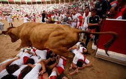 24h qua ảnh: Bò hoang nhảy qua người tham gia lễ hội ở Tây Ban Nha