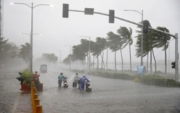 Cơn bão số 2 mang tên MUN đang cách đất liền các tỉnh Quảng Ninh - Hải Phòng khoảng 480km